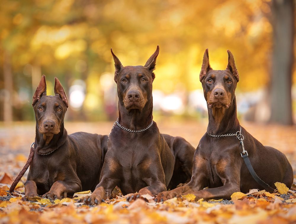 Question of the Week